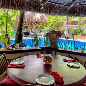Cocos Adults Only 3*, Playa del Carmen Mexico